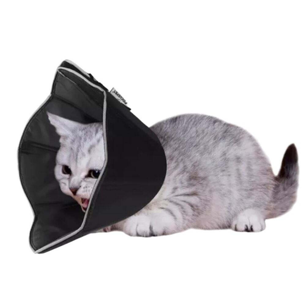 Copied - Focuspet Soft Dog Cone Procedure/Recovery Collar, Size S